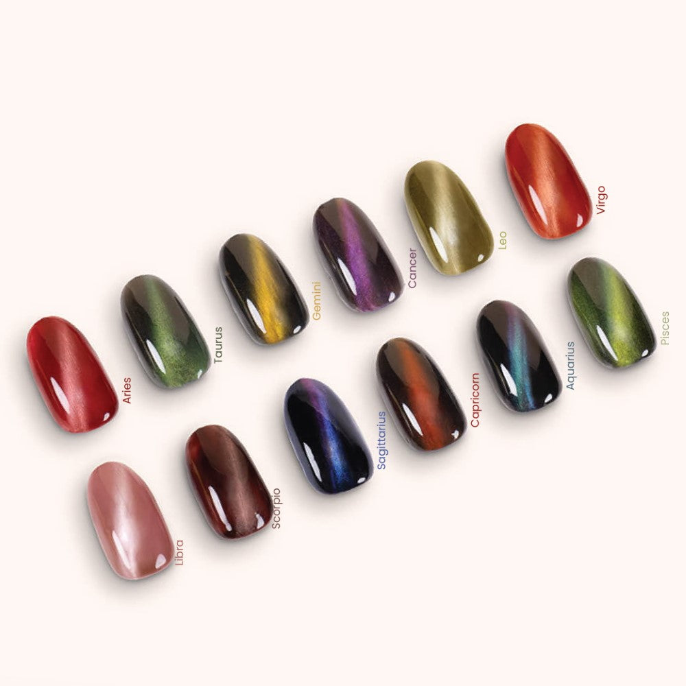 Gel Polish VSP Cat Eye Capricorn