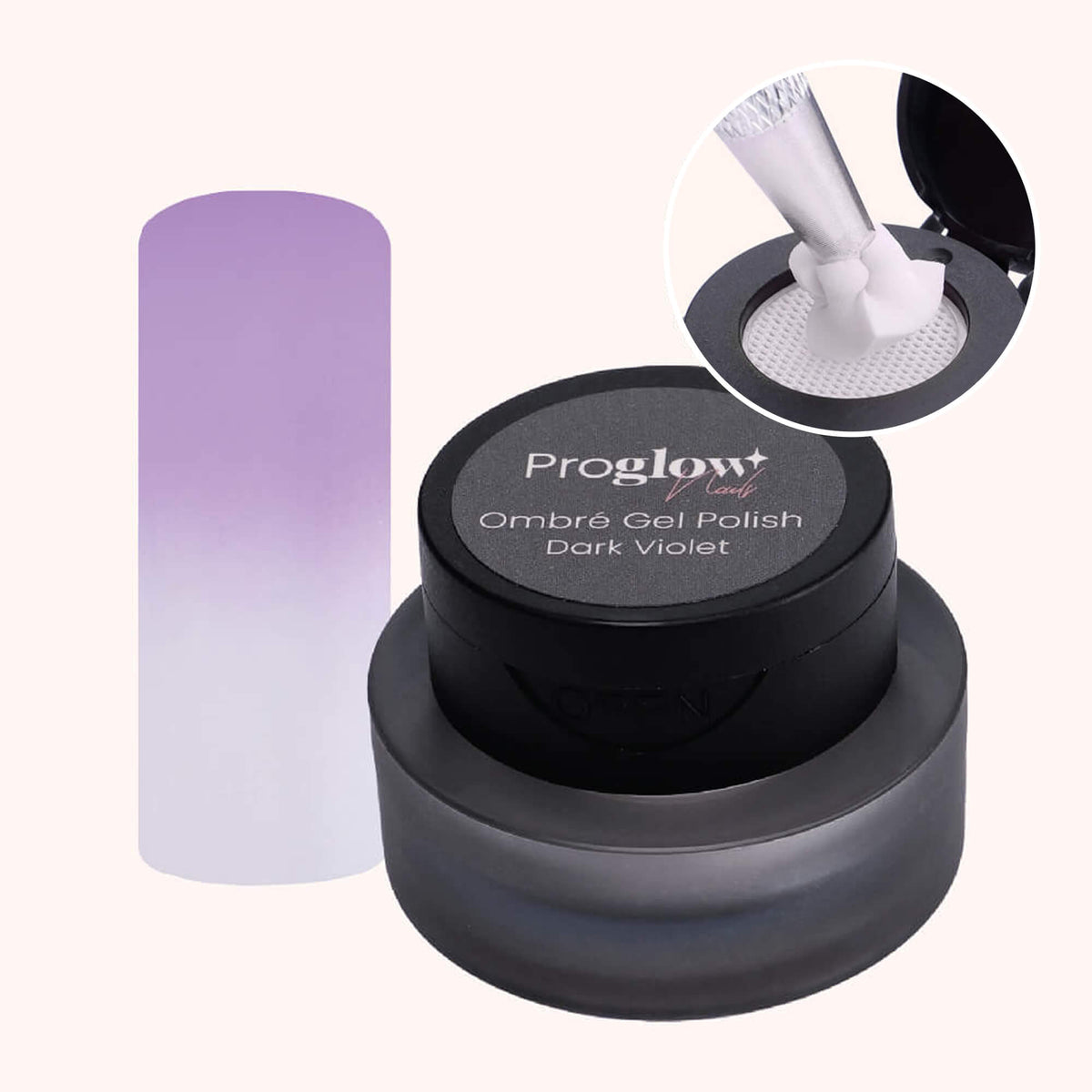 Ombré VSP in a Pot Dark Violet